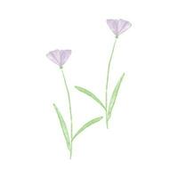 botanisch blad tekening wilde bloemen lijn kunst vector
