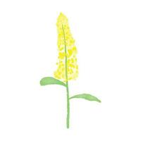 botanisch blad tekening wilde bloemen lijn kunst vector