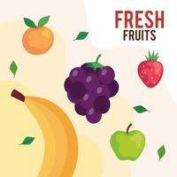 banner van vers fruit, concept gezond eten vector