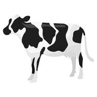concept tekenfilm vee icoon, boerderij landbouw fokken koe vector illustratie, geïsoleerd Aan wit. gezond dier vrij bereik.