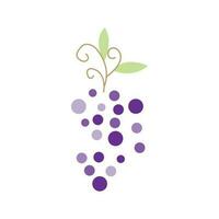 druif logo, tuin vector, vers Purper fruit, wijn merk ontwerp, gemakkelijk illustratie sjabloon vector