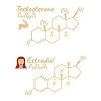 menselijk hormoon oestradiol, testosteron concept chemisch skelet- formule icoon label, tekst doopvont vector illustratie, geïsoleerd Aan wit.