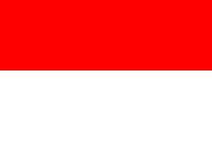 Indonesië vlag. vector illustratie