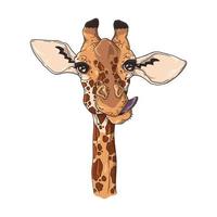 vectorillustraties schetsen. portret van grappige giraf. vector