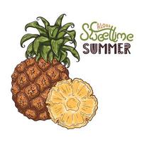 vectorillustratie van ananas. belettering aloha zoete tijd zomer. vector