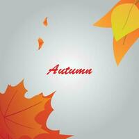 achtergrond vector ontwerp met herfst thema.