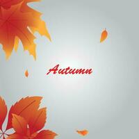 achtergrond vector ontwerp met herfst thema.