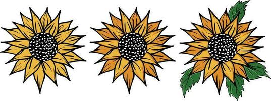 zonnebloemen reeks vector illustratie. zonnebloem geïsoleerd. botanisch bloemen illustratie