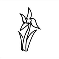 bloem illustratie met geïsoleerd hand getekend stijl Aan een wit achtergrond, geschikt voor kinderen naar trek abstract illustraties. vector