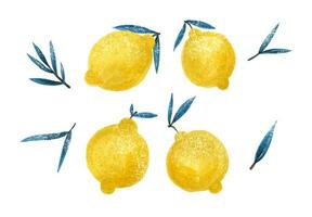 citroen. abstract modern reeks van citroen clip art Aan een wit achtergrond. vers citroenen afdrukken. minimalisme citroen. poster met citrus vruchten. grafisch element voor kleding stof, textiel, kleding, omhulsel papier, muur vector