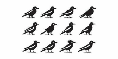 tropisch wild vogel zwart silhouetten pictogrammen reeks geïsoleerd vector illustratie
