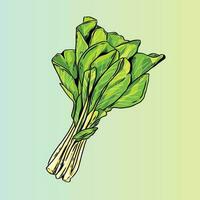 collards groenten vector