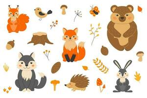 vector illustratie met schattig Woud dieren in tekenfilm stijl. eekhoorn, vos, wolf, beer, egel, vlinder, vogel. takjes, kegels, eikel, bladeren, gras. herfst in de Woud.