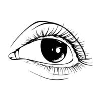 hand- getrokken schetsen oog vector