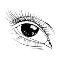 hand- getrokken schetsen oog vector