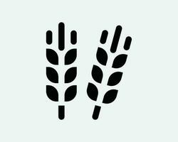 tarwe rogge gerst graan zaad fabriek oogst ontbijtgranen biologisch gezond Bijsnijden zwart en wit icoon teken symbool vector artwork clip art illustratie