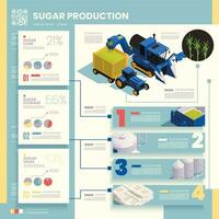 suiker productie infographics vector