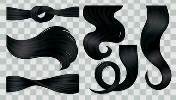 zwart haar- krullen reeks vector