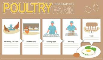 eieren productie gevogelte infographic vector