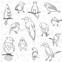 vector overzicht set met illustraties van schattige vogels geïsoleerd op een witte achtergrond. kan worden gebruikt als elementen voor uw ontwerp voor wenskaarten, kinderkamer, poster, kaart, verjaardagsfeestje, verpakkingspapierontwerp, baby t-shirts prints