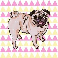 kleurrijke vectorillustratie van het hondenras pug geïsoleerd op een witte achtergrond vector