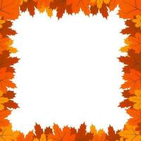 gestapeld herfst bladeren kader in vector ontwerp geïsoleerd Aan wit