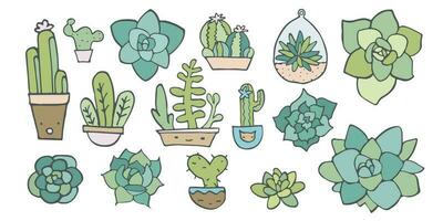 vector tekening reeks van cactus planten, aloë Arizona sappig, exotisch tuinieren, hand- verdrinken pictogrammen geïsoleerd van wit, schets Mexico cactussen verzameling, tekenfilm lijn huis fabriek