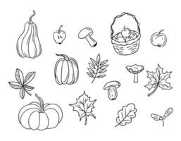 verzameling van hand- getrokken tekening herfst natuur geschenken. zwart geïsoleerd schets elementen. pompoenen, herfst bladeren, paddestoelen, appels. uniek vector schetsen ontwerp. ideaal voor kleur Pagina's, sticker