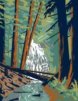 cascade valt in moran staat park Aan orka's eiland Washington staat wpa poster kunst vector