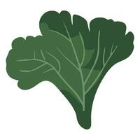 vers groen kruid salade een gezond vegetarisch voedsel over- wit vector
