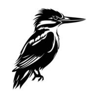 ijsvogel vogel silhouet, ijsvogel vogel mascotte logo, ijsvogel vogel zwart en wit dier symbool ontwerp, vogel icoon. vector