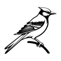 blauw gaai silhouet, blauw gaai mascotte logo, blauw gaai zwart en wit dier symbool ontwerp, vogel icoon. vector