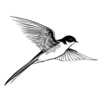 schuur slikken silhouet, schuur slikken mascotte logo, schuur slikken zwart en wit dier symbool ontwerp, vogel icoon. vector