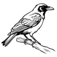 kraaien silhouet, kraaien mascotte logo, kraaien zwart en wit dier symbool ontwerp, vogel icoon. vector