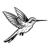 kolibrie silhouet, kolibries mascotte logo, kolibries zwart en wit dier symbool ontwerp, vogel icoon. vector