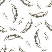 hand getekend vector naadloos patroon van Chili peper en peperkorrels. wijnoogst tekening illustratie. schetsen voor cafe menu's en etiketten. de gegraveerde afbeelding.