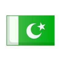 modern Pakistan vlag icoon. vector. vector