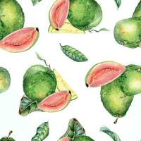 geheel guava en plakjes, bladeren waterverf naadloos patroon geïsoleerd Aan wit. tropisch fruit, roze, geel pulp guajava hand- getrokken. ontwerp voor inpakken, verpakking, textiel, achtergrond, behang vector