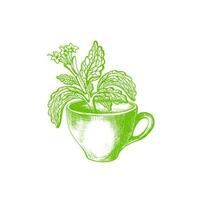 stevia symbool. vector zoet fabriek en beker. biologisch