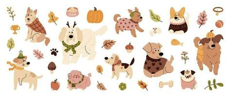 reeks van schattig dier vector. herfst seizoen met honden, vriendelijk huisdieren, kleding, element in vallen seizoen in tekening patroon. aanbiddelijk grappig dier en tekens hand- getrokken verzameling Aan wit achtergrond. vector