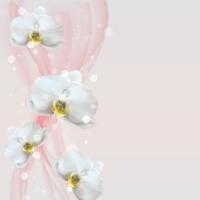 3D-realistische natuurlijke orchidee bloem achtergrond. ontwerpsjabloon voor advertenties, flyer of tijdschriftachtergrond. vector illustratie