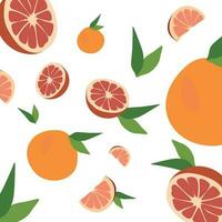 vers grapefruit set. vector vlak stijl illustratie. helder vector verzameling van kleurrijk sappig grapefruits geïsoleerd Aan wit. citrus icoon van geheel fruit, voor de helft en plak met bladeren.