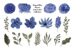 esthetisch blauw bloem en blad waterverf verzameling vector