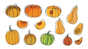 verschillend types van pompoenen reeks hand- getrokken in tekening stijl. doorlopend lijn tekening pompoenen. herfst pompoen lijn kunst set. vector