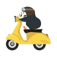 tekenfilm grappig pinguïn rijden motorfiets vector