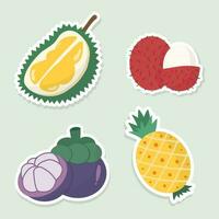 tropisch fruit vector pictogrammen set. reeks van 4 fruit durian ramboetan mangisboom ananas stickers. hand- getrokken vector illustratie.