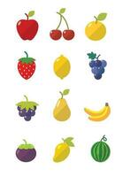 verzameling van fruit pictogrammen vector