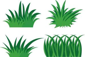 gras illustratie. vector reeks voor ontwerp decoratie. natuurlijk materiaal voor verzamelen.vector illustratie