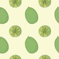 naadloos patroon met limoen hand- getrokken gravure vector illustratie. herhalen achtergrond met citrus vruchten. decoratief ornament boho stijl ontwerp element voor afdrukken, inpakken, papier, kleding stof, etiket