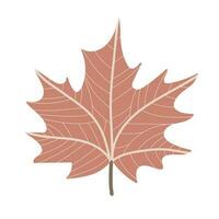gemakkelijk herfst esdoorn- blad. hand- getrokken element voor herfst decoratief ontwerp, halloween uitnodiging, oogst of dankzegging vector